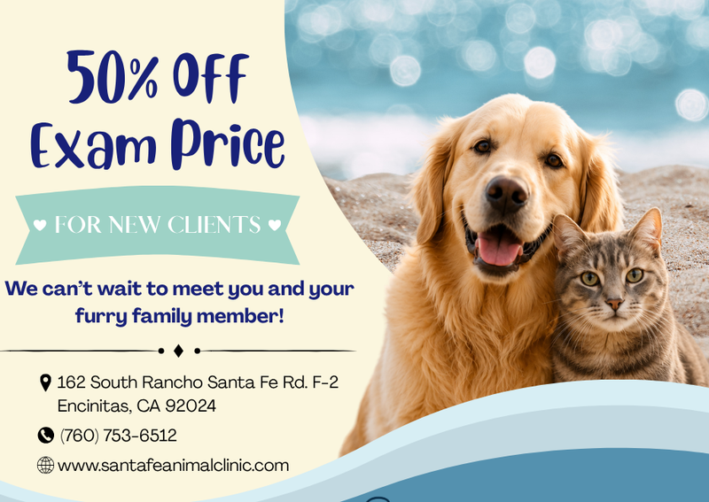Carousel Slide 1: Santa Fe Animal clinic welcomes NEW clients with 50% off your first exam.