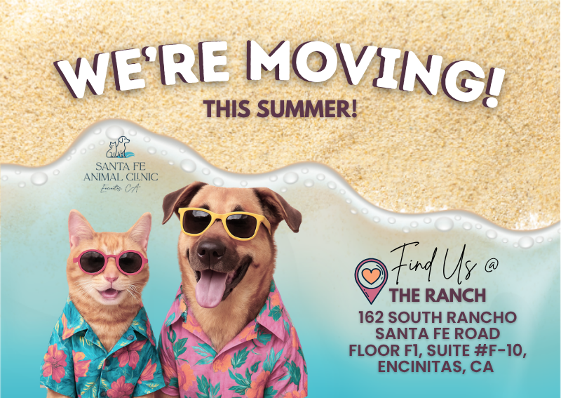 Carousel Slide 1: Learn more!